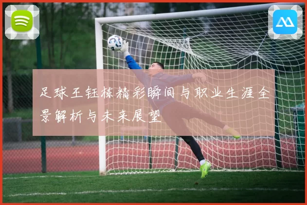 足球王钰栋精彩瞬间与职业生涯全景解析与未来展望