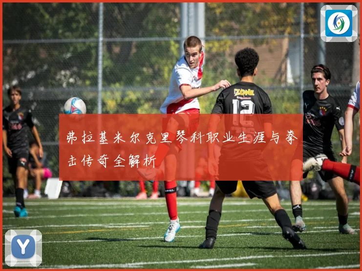 弗拉基米尔克里琴科职业生涯与拳击传奇全解析