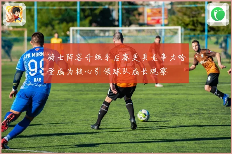骑士阵容升级季后赛更具竞争力哈登成为核心引领球队成长观察