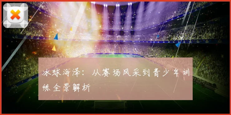 冰球海泽：从赛场风采到青少年训练全景解析