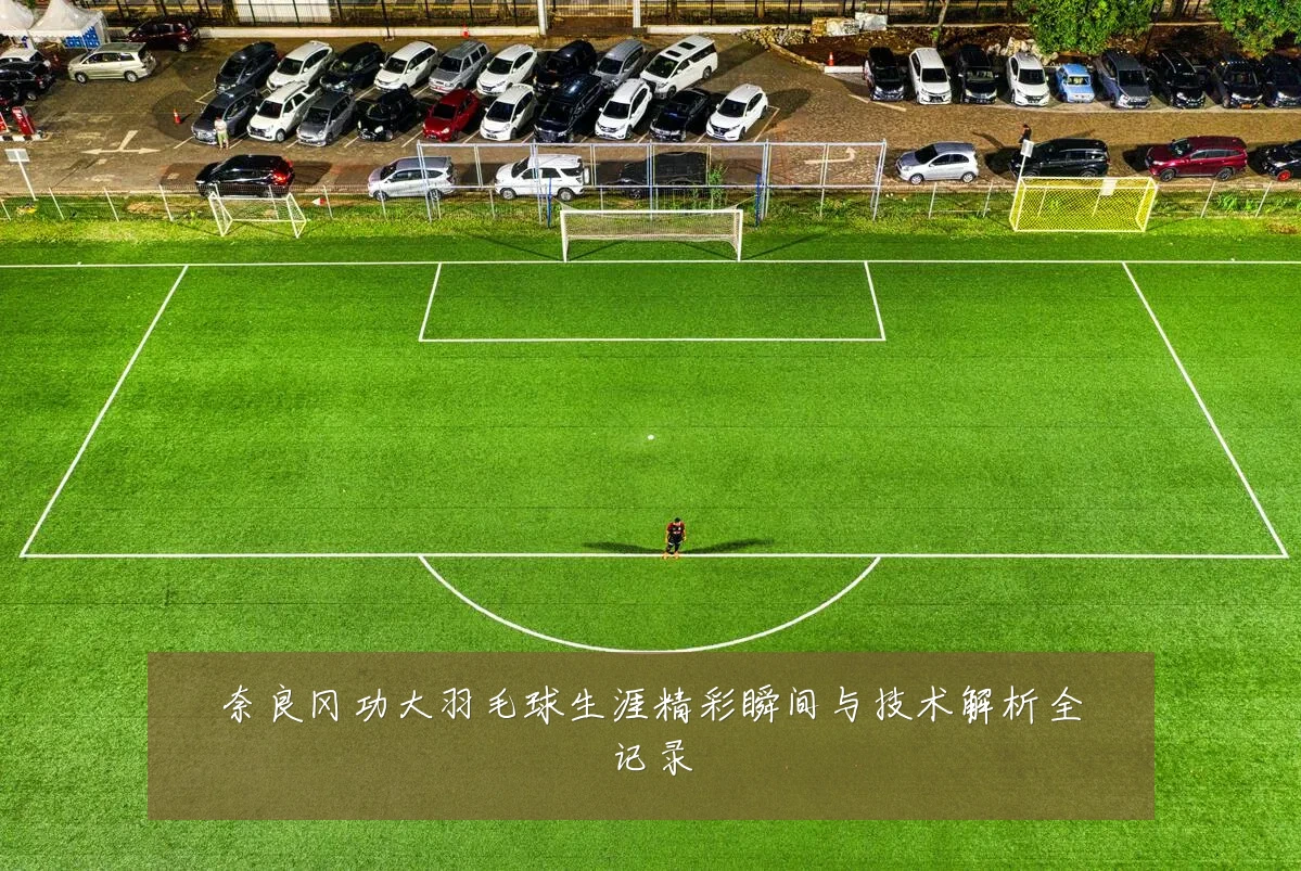 奈良冈功大羽毛球生涯精彩瞬间与技术解析全记录